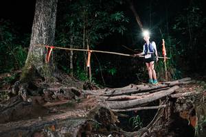 BIB: 
                            <button type="button" onclick="openModal(27354042)" class="btn btn-primary btn-sm float-right btn-popup" data-toggle="modal" data-target=".modal-high-quality">
                        <i class="fas fa-shopping-cart"></i> Add to Cart
                    </button>
                                            <button type="button" onclick="isThisMe(27354042, true)" class="btn btn-success btn-sm float-right btn-popup btn-isme hidden" data-toggle="tooltip" data-placement="bottom" title="นี่คือรูปของคุณใช่ไหม คลิกที่นี่เพื่อเอาเข้าอัลบั้ม">
                        <i class="fas fa-plus"></i> Add to album
                    </button>
                    <button type="button" onclick="isThisMe(27354042, false)" class="btn btn-warning btn-sm float-right btn-popup btn-isnotme hidden">
                        <i class="fas fa-ban"></i> Remove from album
                    </button>